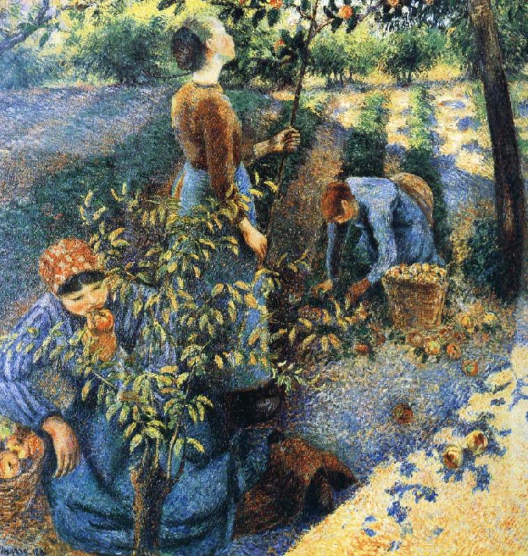 Camille Pissarro Apple picking china oil painting image